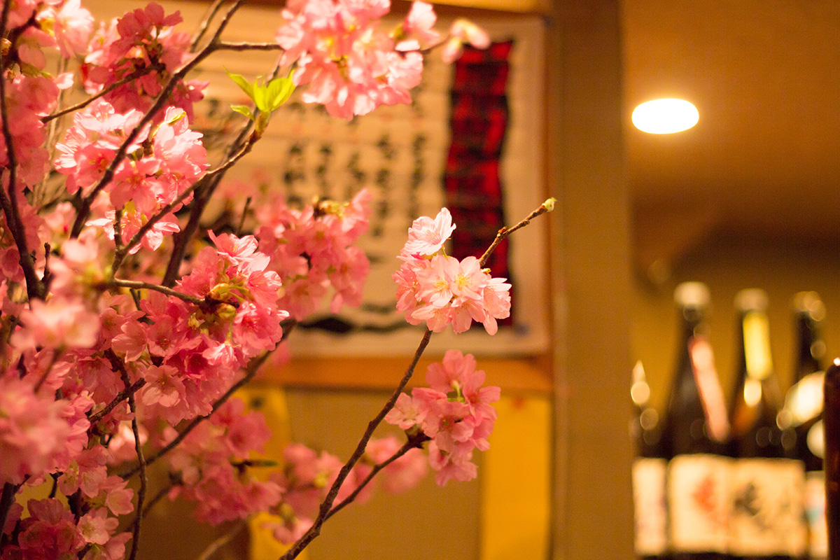 代々木・新宿で鹿児島の郷土料理とご当地の焼酎を楽しむ居酒屋 本家かのやの店内写真